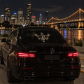 Crown logo sticker