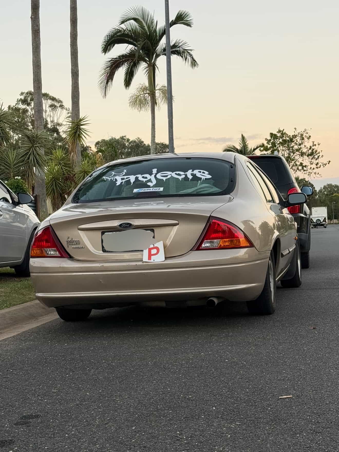 Large car window sticker